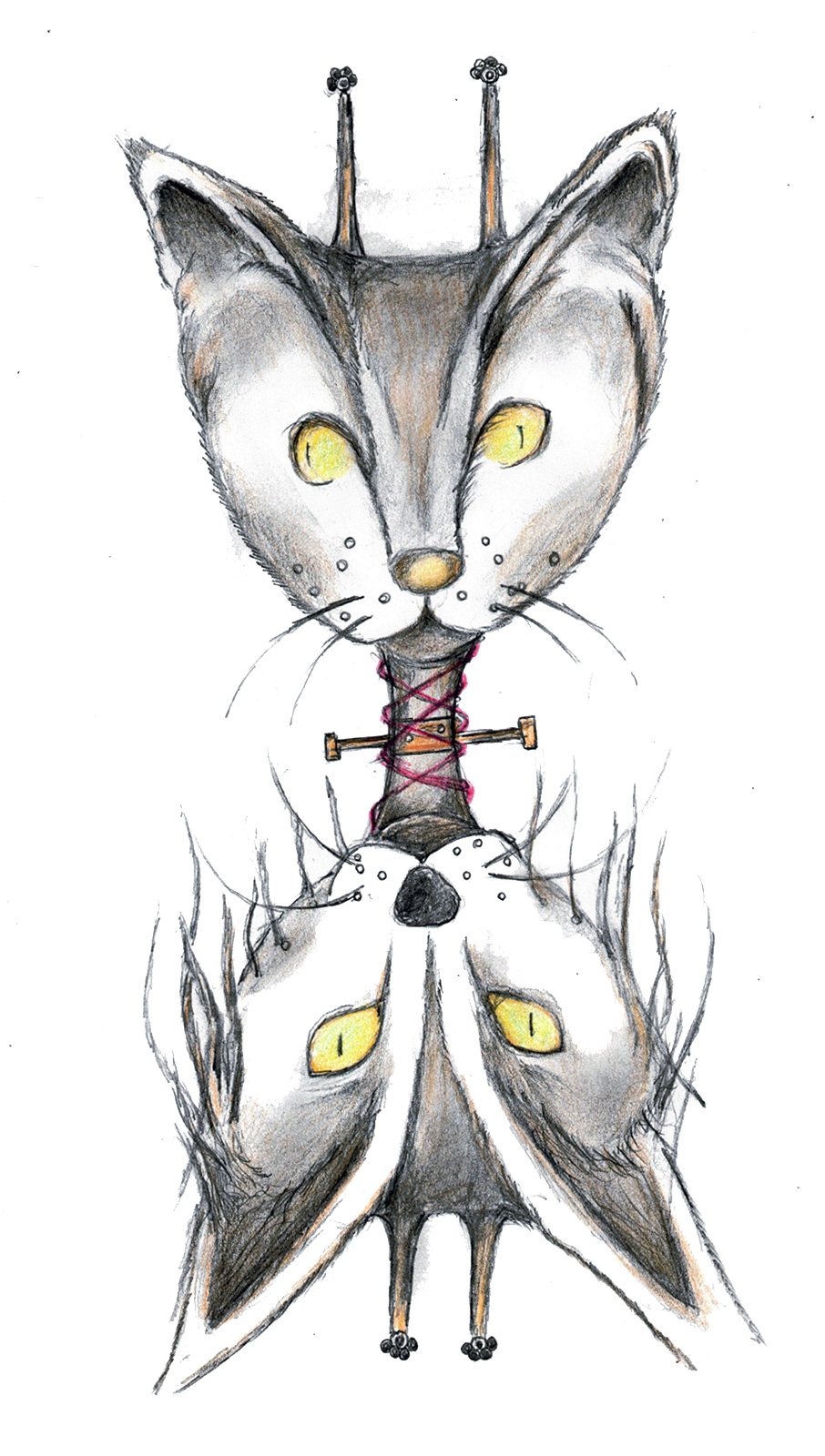 Dual_Cat